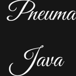 Avatar of Pneuma Java
