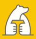 Yellow Bear Coffee Logo