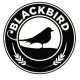Blackbird Cafe Logo