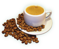 Nova Rosti Coffee Co Logo