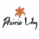 Prairie Lily Logo