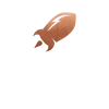 Rocket Bean Roastery Logo