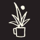 Succulent Coffee Logo